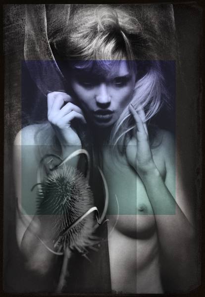 Photograph Gerhard Merzeder Art Collage on One Eyeland